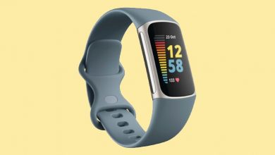 Fitbit Charge 5